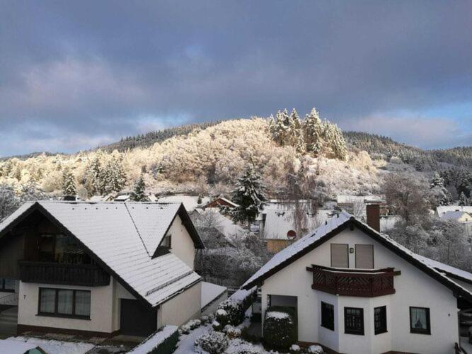 Spacious Flat In Adenau Near The N Rburgring Buitenkant foto